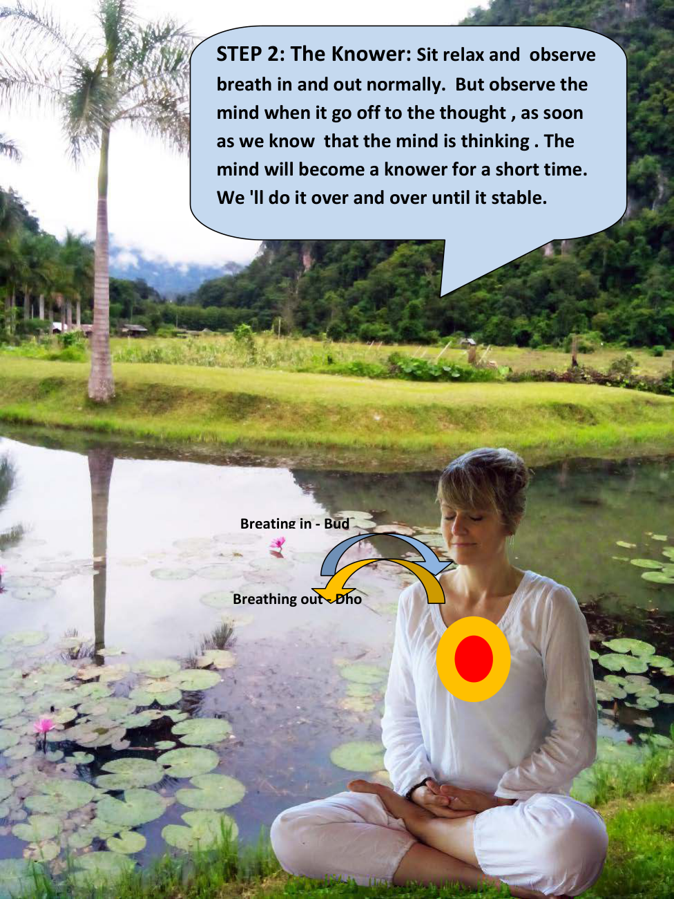 Page 120 illustration