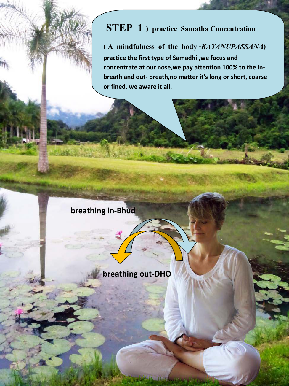 Page 117 illustration